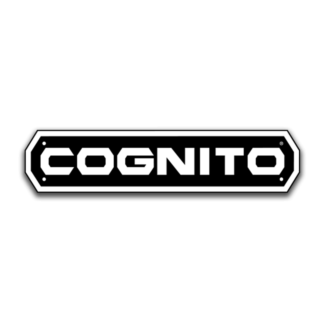 Cognito Motorsports