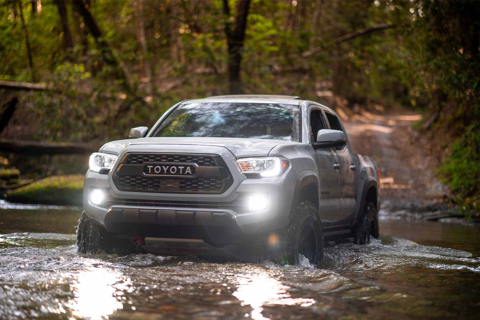5202: 2Stroke 4.0 LED Bulb (Each)
