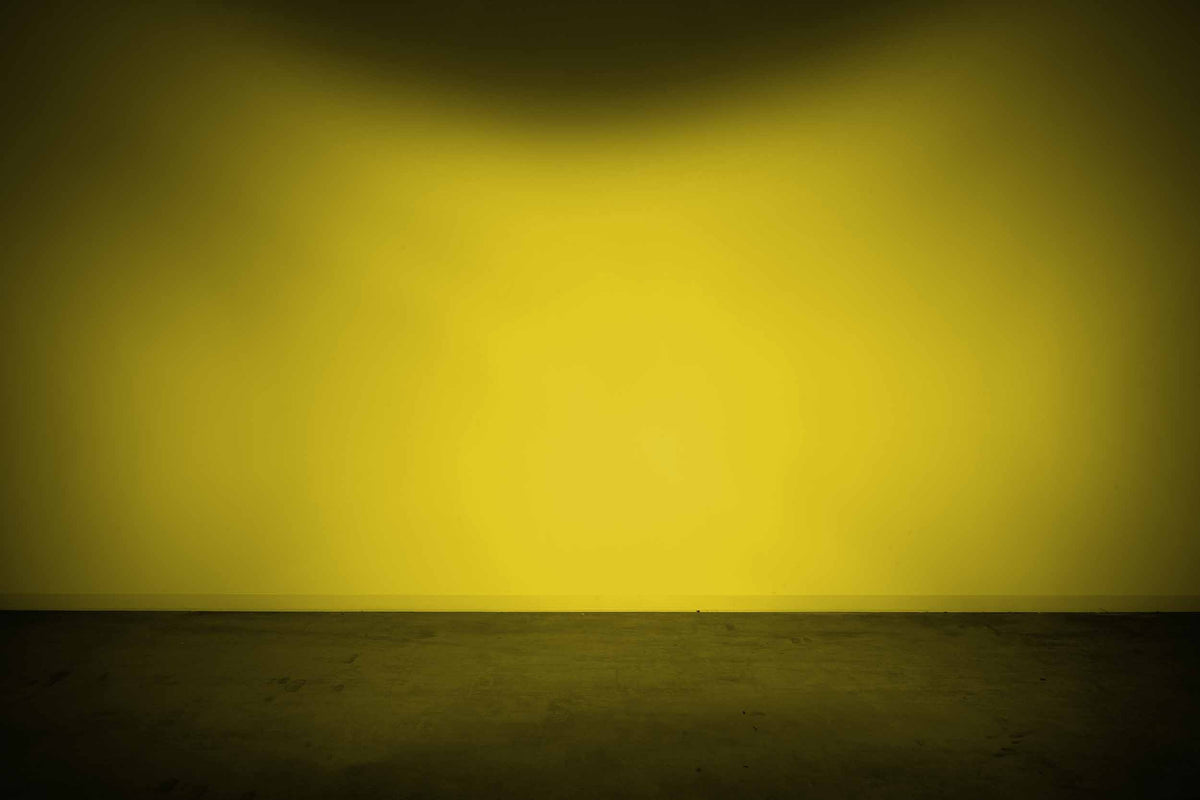 Lens Only: 4Banger (Yellow / Flood / Each)