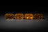 Lens Only: 2Banger (Yellow / Flood / Each)