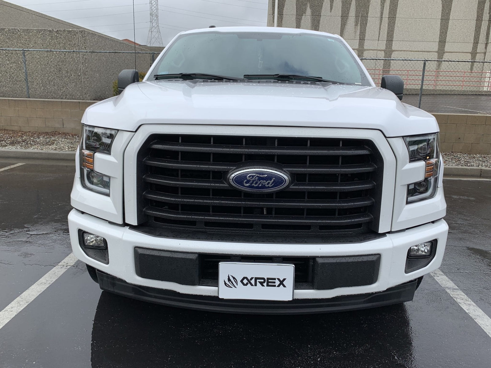 15-17 Ford F150 PRO-Series Halogen Projector Headlights Jet Black | AlphaRex