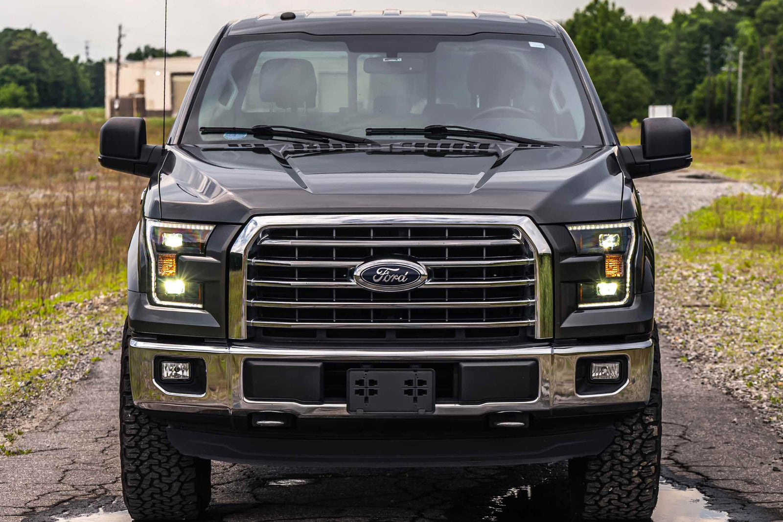 15-17 F-150 Hybrid Heads and Red Tails