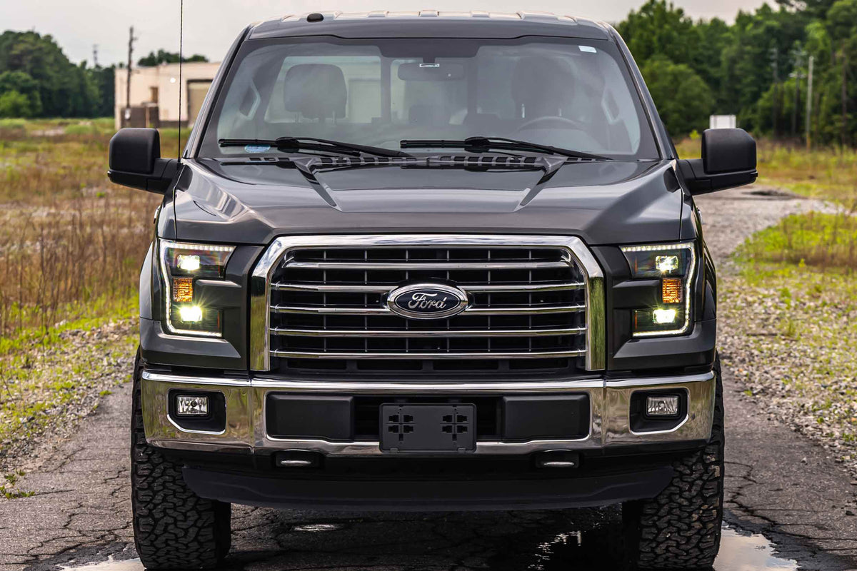 15-17 F-150 Hybrid Heads and Smoked Tails