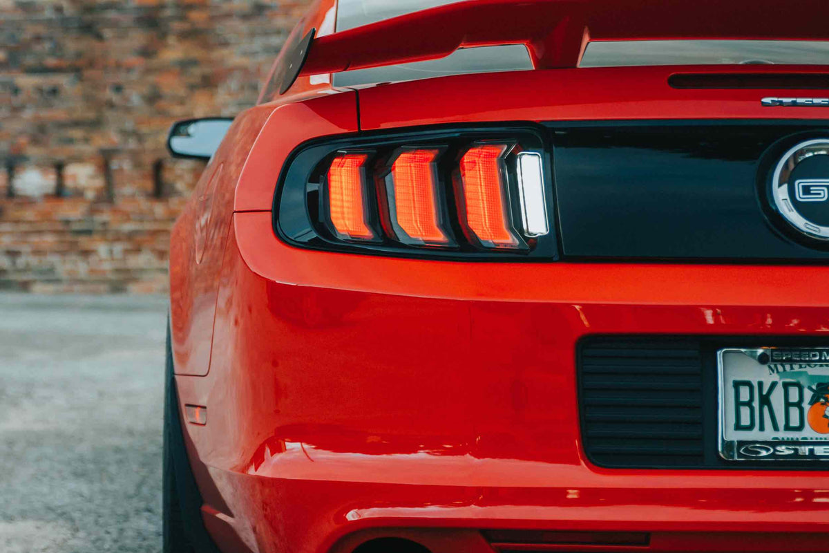 10-12 Mustang Heads and Red Tails