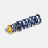Ryft- Ferrari 812 Superfast GTS/COMP Performance Spring Kit - Legends Auto Parts