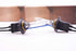 9005/H10/9145: XB 3000K HID Bulbs (Pair)