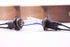 9012: XB 5000K HID Bulbs (Pair)
