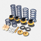 Ryft- Ferrari 488 GTB, 488 Pista, F8 Tributo Performance Spring Kit - Legends Auto Parts