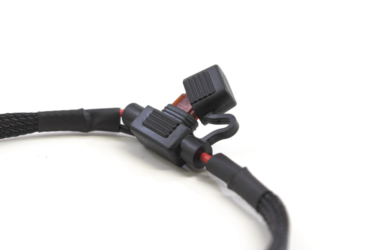 Fuse Box Harness: O-Ring Terminals (12V +/-)