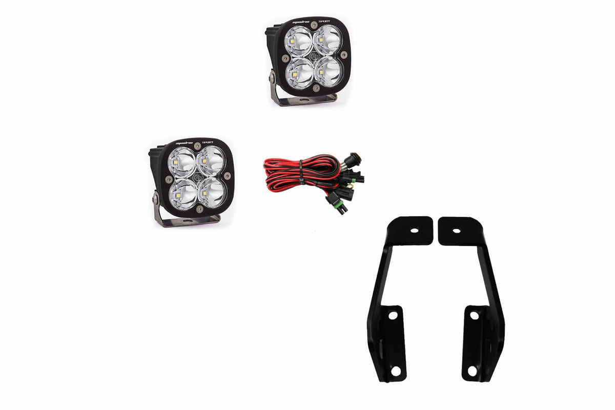 BD Ditch Light LED System: Ford F150 Raptor (10-14) (Squadron Sport)