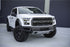 BD Ditch Light LED System: Ford F150 Raptor (17-20) (Squadron Sport)