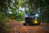4Banger Fog Lights: 13-18 Ram 1500 (NCS Yellow Combo Beam)