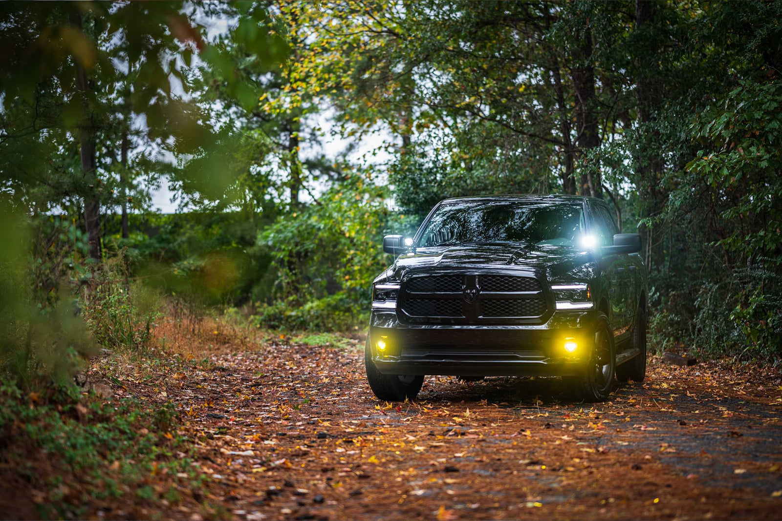 Morimoto 4Banger Ditch Light Kit: 09-18 Ram (HXB White Spot Beam)