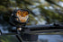 Morimoto 4Banger Surface-Mount Kit: (NCS Yellow Flood Beam)