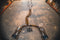 Audi RS6 / RS7 C8 Valved Sport Exhaust System - Legends Auto Parts