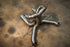 Lamborghini Revuelto F1 Exhaust Package - Legends Auto Parts