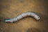 Ferrari California 4.3 V8 Valved Sport Exhaust System - Legends Auto Parts