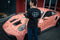 Valvetronic GT3RS Graphic Tee