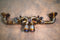 Valvetronic Valved Sport Exhaust System for Porsche 992 GT3/RS