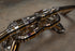 Audi R8 True F1 Exhaust System