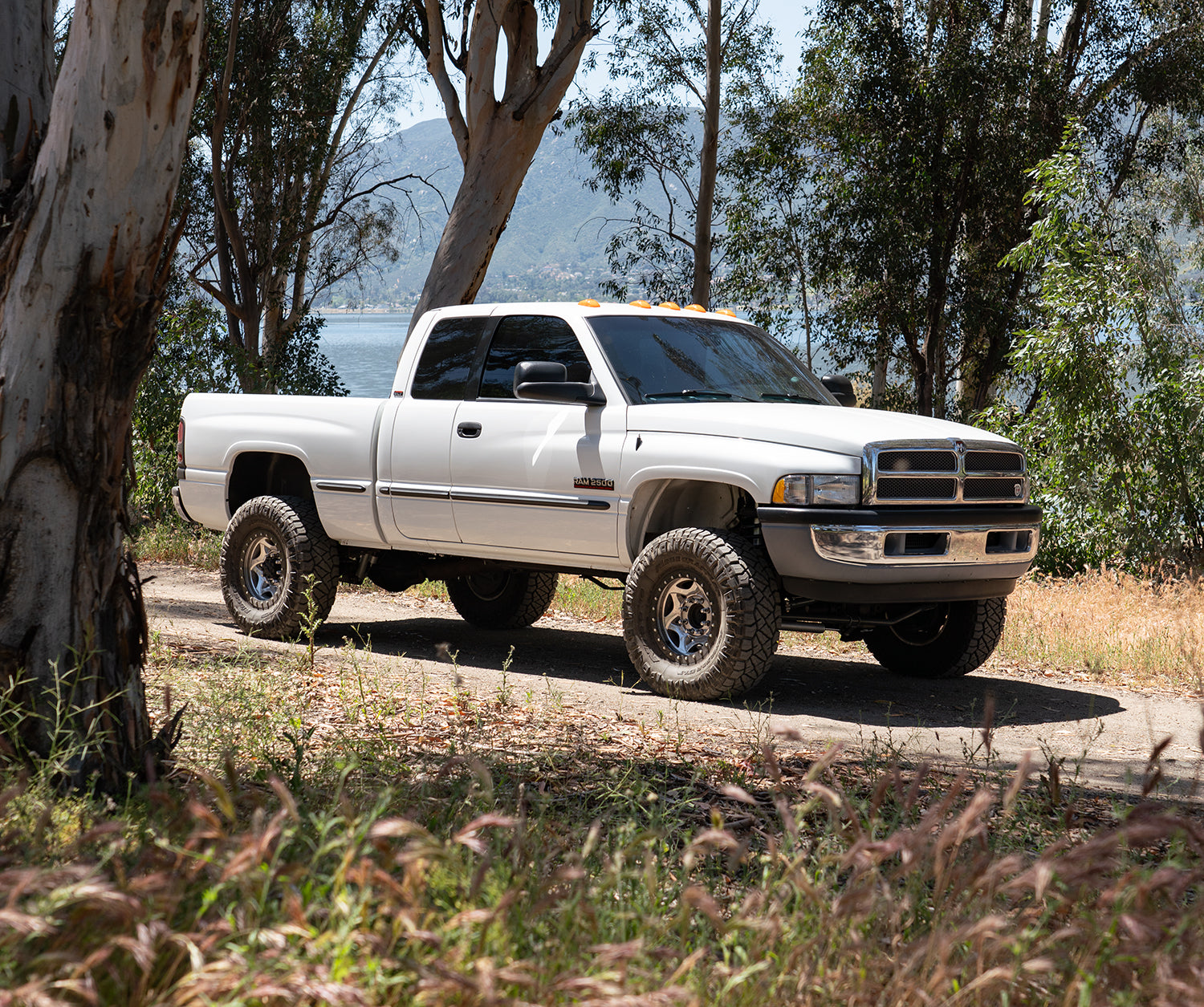 Backcountry 2.0 Leveling System Base 3 Lift 1994-02 RAM 2500/3500 Diesel Carli Suspension
