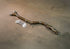 BMW G80/G82/G83 M3 / M4 Valved Sport Exhaust System