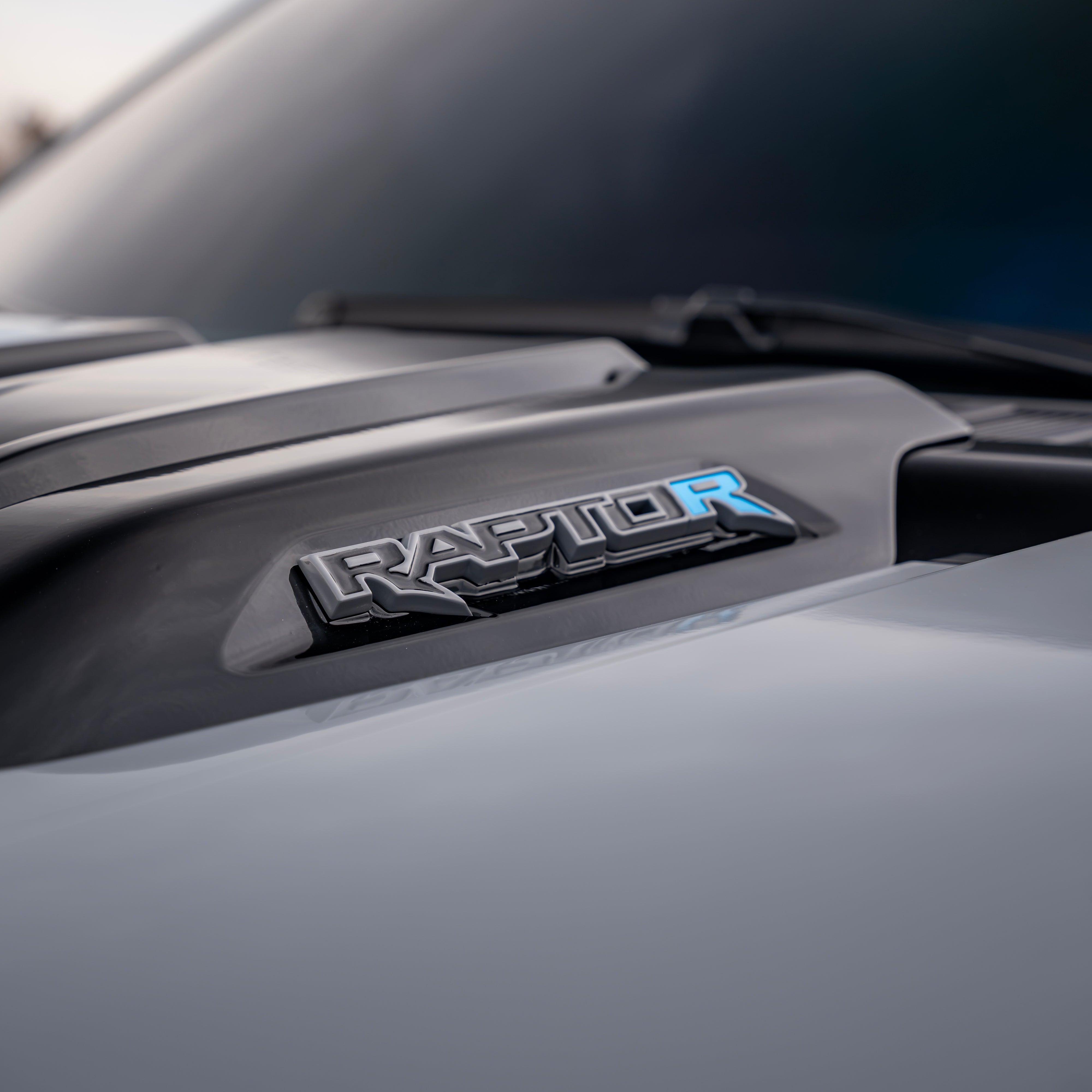 2021-2025 Ford F-150 Raptor Custom Painted Raptor Emblem Package - Legends Auto Parts