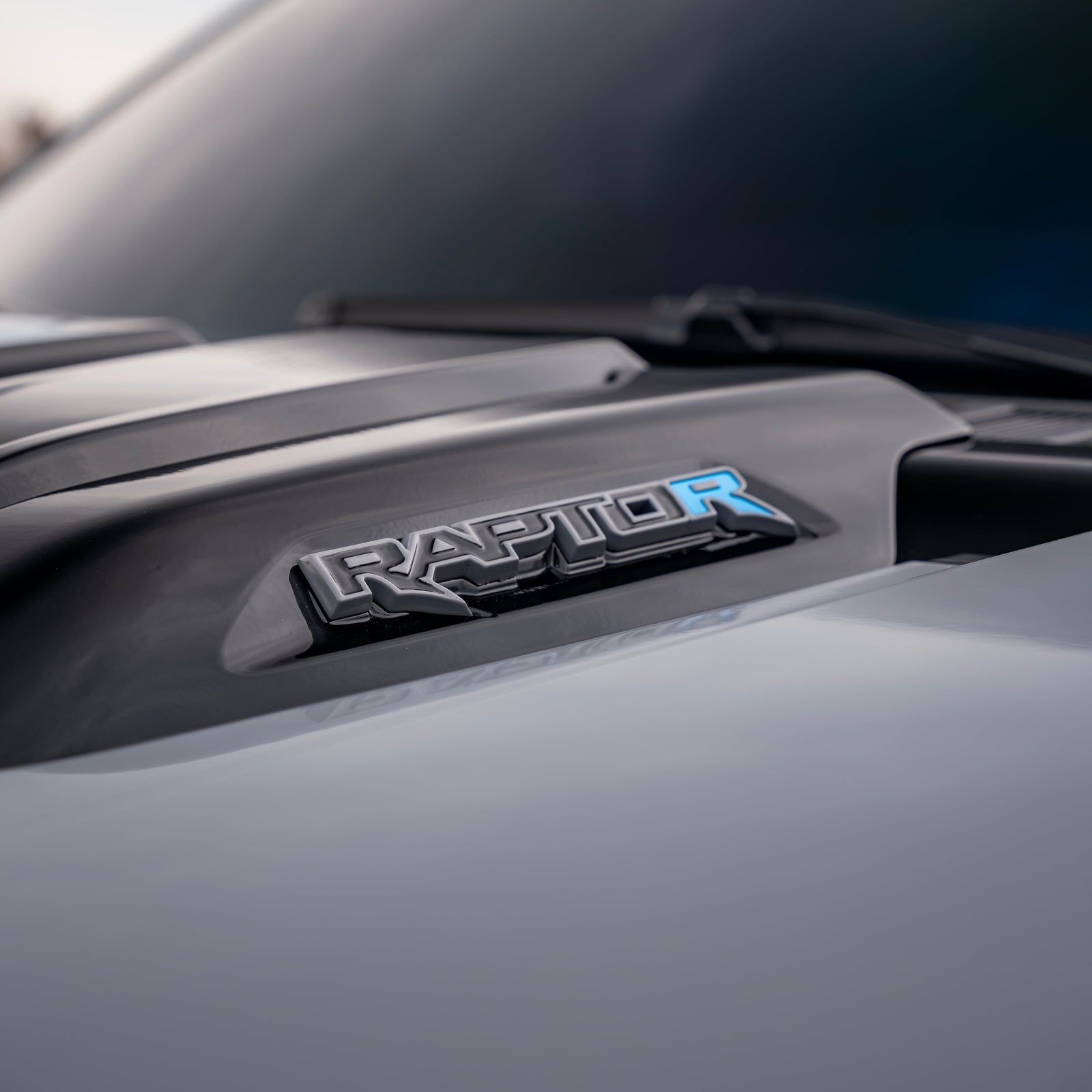 2021-2025 Ford F-150 Raptor Custom Painted Raptor Emblem Package - Legends Auto Parts
