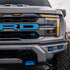 2021-2025 Ford F-150 Raptor Custom Painted Raptor Emblem Package - Legends Auto Parts