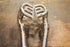 Mercedes SLS AMG Valved Sport Exhaust System - Legends Auto Parts