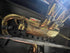 Lotus Evora Valved Sport Exhaust System (F1) - Legends Auto Parts
