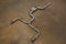 Volkswagen MK7 Golf GTI Valved Sport Exhaust System