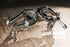 Audi R8 V10/Plus MK2 | 2016-2018 Valvetronic Muffler Exhaust
