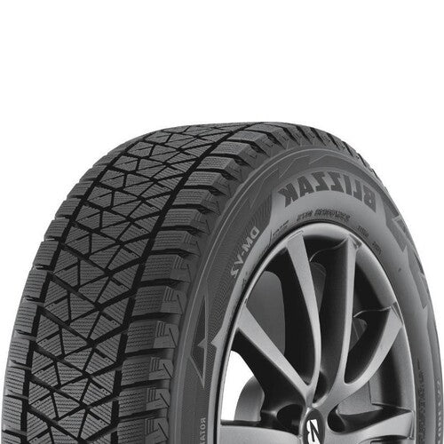 Bridgestone Blizzak DM-V2 225/60R18 100S BSW - Legends Auto Parts