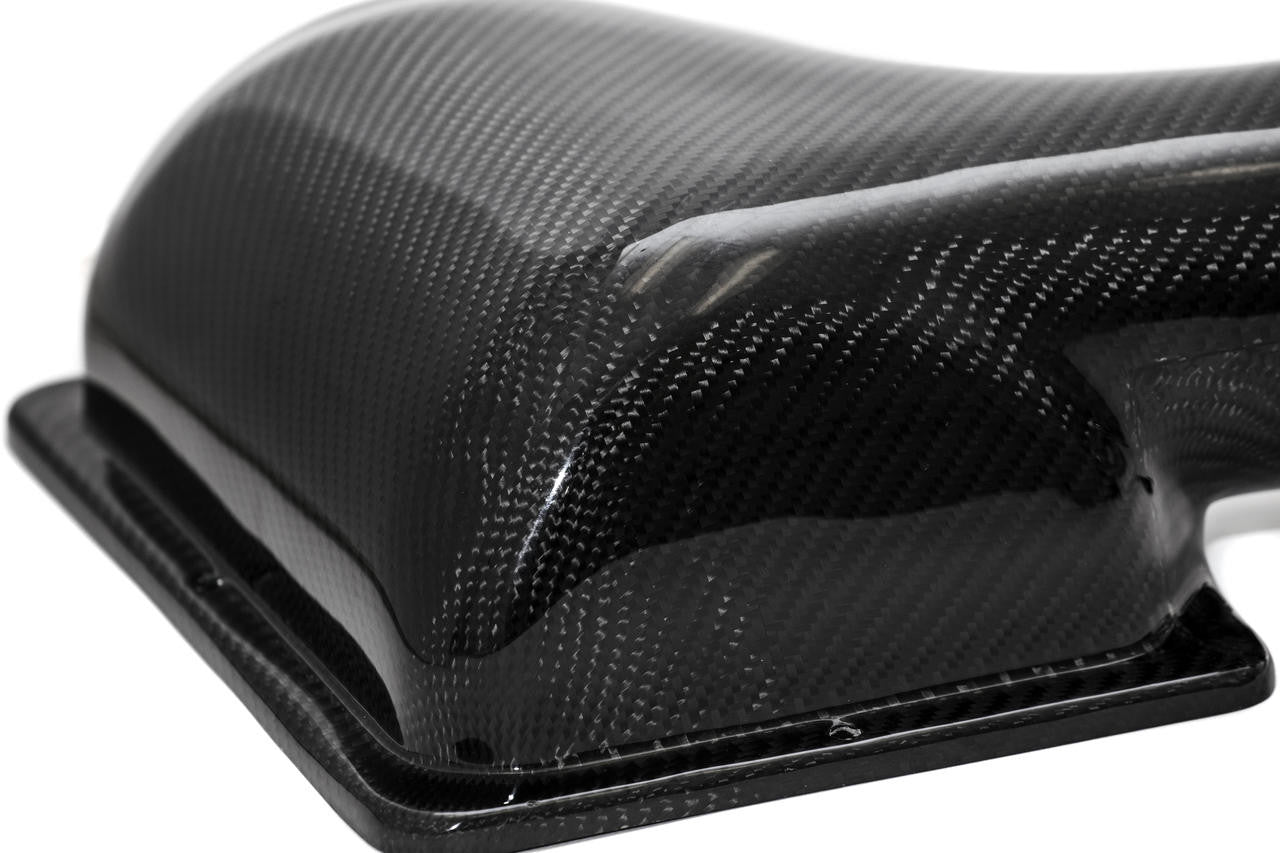 Fabspeed - Ferrari F430 Carbon Fiber Airbox Covers (2005-2009) - Legends Auto Parts