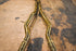 Toyota Supra A90 / A91 Valved Sport Exhaust System