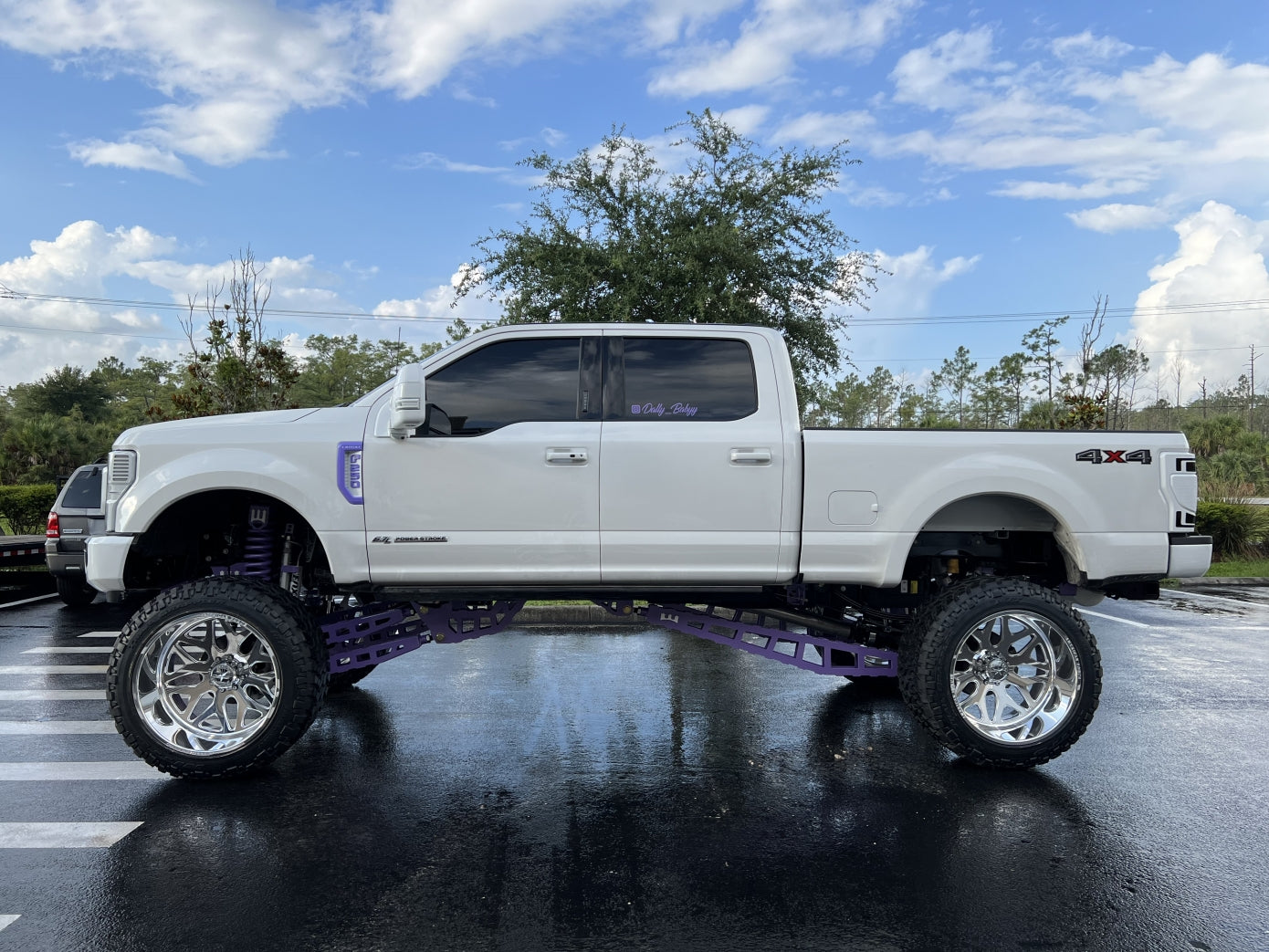 Wicked Trucks - 2017+ FORD F-250/F-350 12