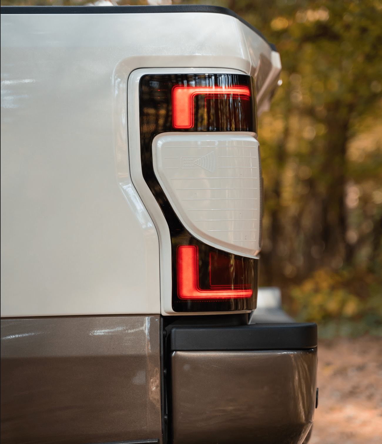 2020-2022 Ford SuperDuty OEM LED Tail Lights Custom Painted