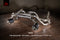 Porsche 718 GT4 RS | 2022+ Valvetronic Muffler Exhaust